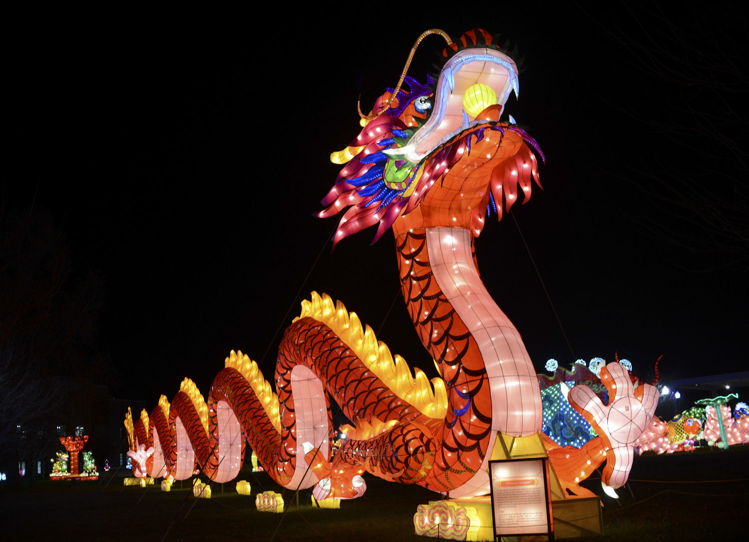 ChineseLantern01.jpg